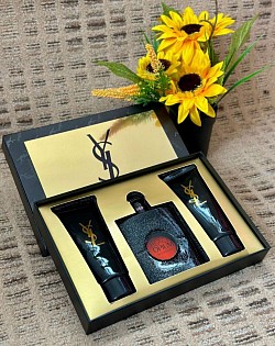 LADIES YSL GIFT SET £35